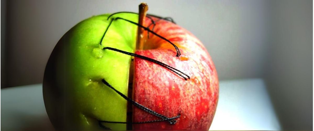 copertina_articolo_dipendente_affettivo_agnese